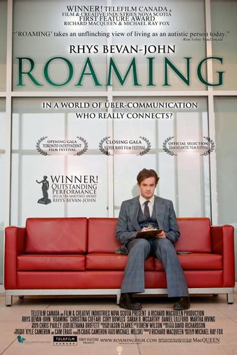 roaming 2013 poster