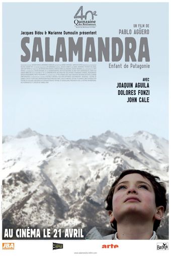 salamandra 2008 poster