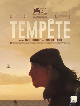 tempête 2015 poster