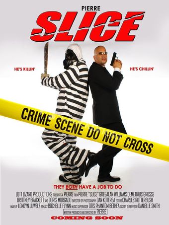 slice 2011 poster