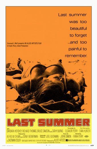 last summer 1969 poster