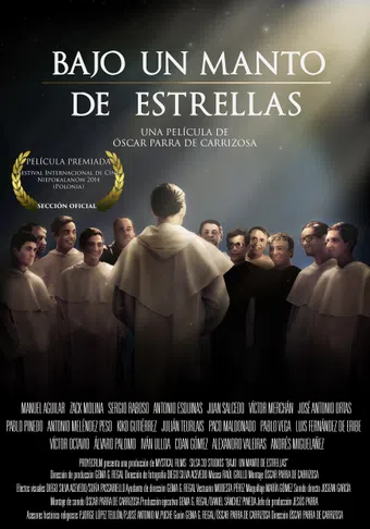 bajo un manto de estrellas 2014 poster