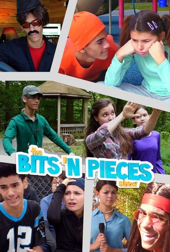 the bits 'n pieces show 2015 poster