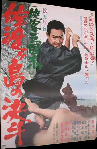 kyôkakû san gôkushî - sâtoke shimâ no tâiketsû 1966 poster