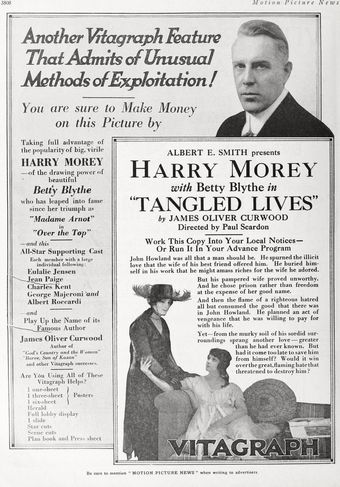 tangled lives 1918 poster