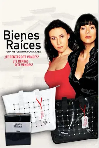 bienes raíces 2010 poster