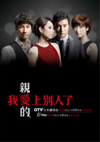 qin ai de, wo ai shang bie ren le 2013 poster