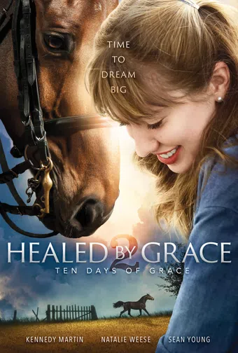 healed by grace 2 2018 poster