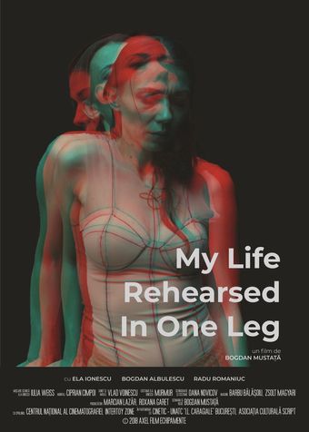 my life rehearsed in one leg 2018 poster