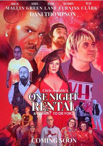 one night rental 2024 poster