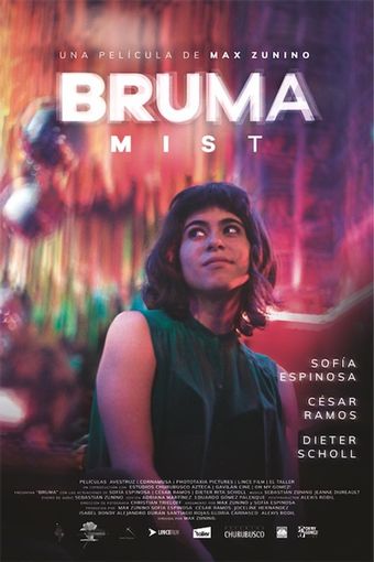 bruma 2017 poster