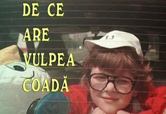 de ce are vulpea coada? 1989 poster