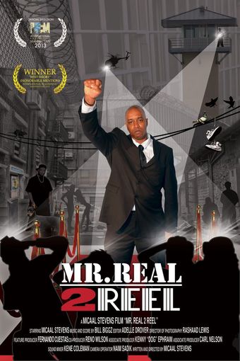 mr real 2 reel 2014 poster