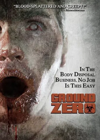 ground zero 2010 poster