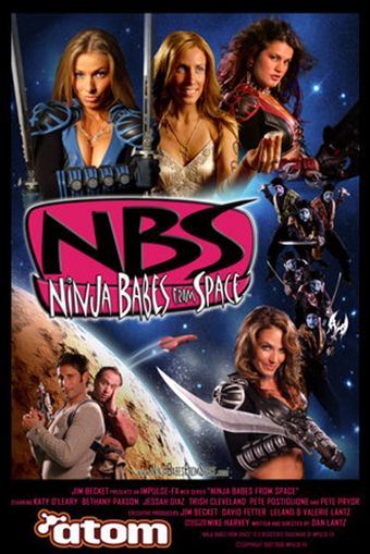 ninja babes from space 2007 poster