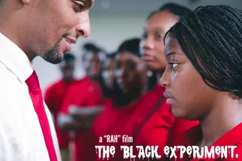 the black experiment poster