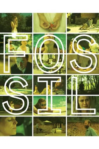 fossil 2014 poster