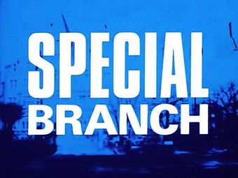 special branch 1969 poster