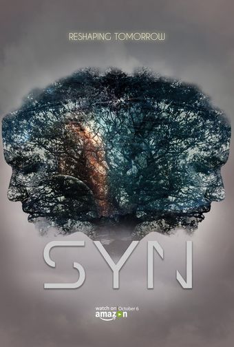 syn 2017 poster