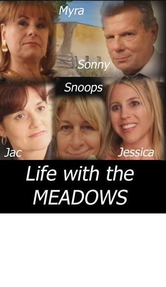 life with the meadows 2011 poster