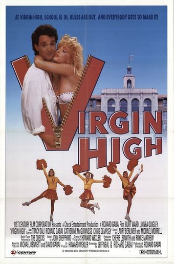 virgin high 1991 poster