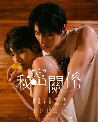 secret lover 2025 poster