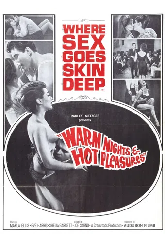 warm nights and hot pleasures 1964 poster