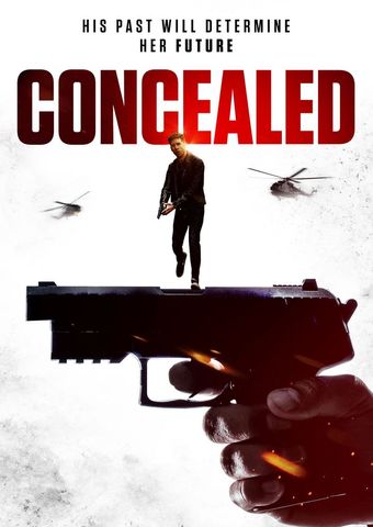 concealed 2017 poster