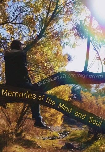 memories of the mind and soul poster