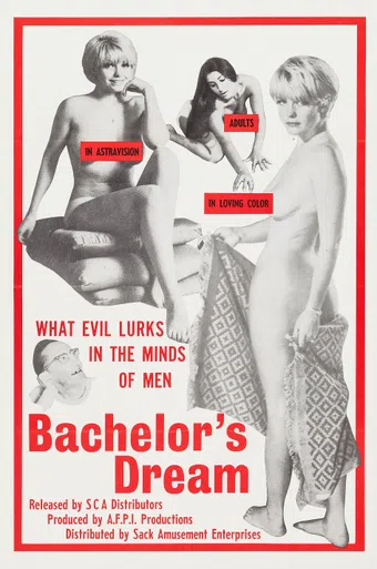 the bachelor's dreams 1967 poster