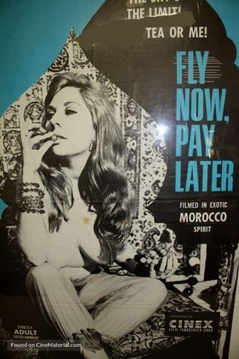 fly now, pay later 1969 poster