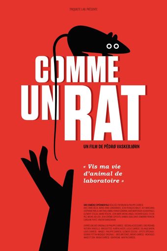 comme un rat 2014 poster