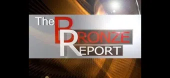the bronze report 2013 poster