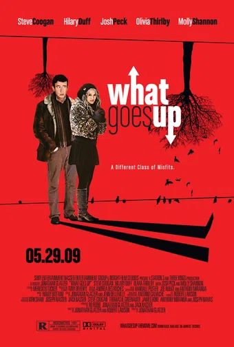 what goes up 2009 poster