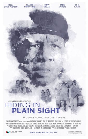 hiding in plain sight 2012 poster