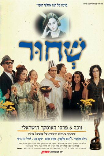 sh'chur 1994 poster