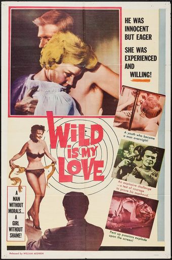 wild is my love 1963 poster