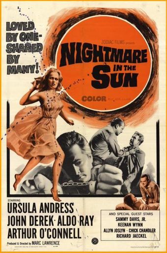 nightmare in the sun 1965 poster