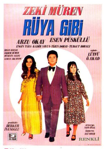 ruya gibi 1971 poster