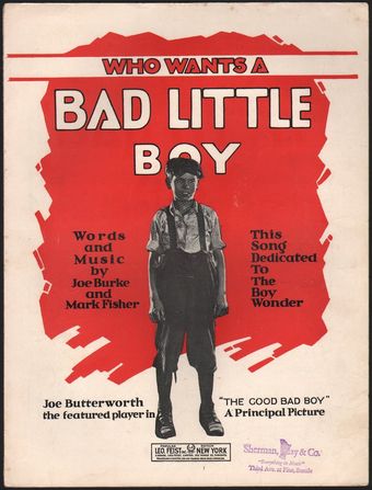 the good bad boy 1924 poster