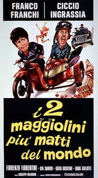 i due maggiolini più matti del mondo 1970 poster