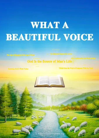 what a beautiful voice 2017 poster