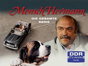 mensch hermann 1987 poster