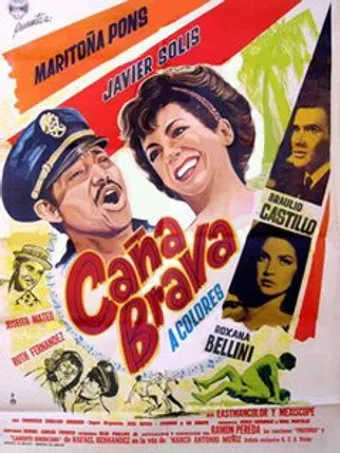 caña brava 1966 poster