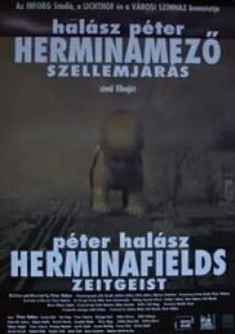 herminamezö - szellemjárás 2006 poster