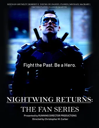 nightwing returns 2020 poster