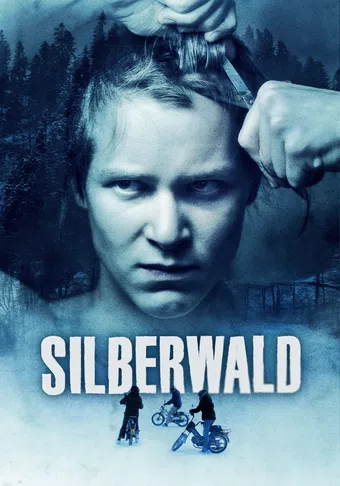 silberwald 2011 poster