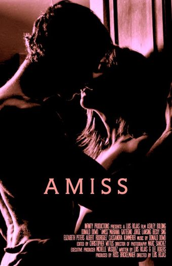 amiss 2011 poster