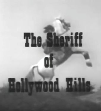 the sheriff of hollywood hills 1974 poster