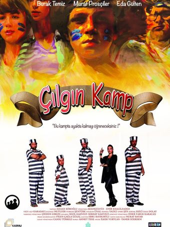 çilgin kamp 2015 poster